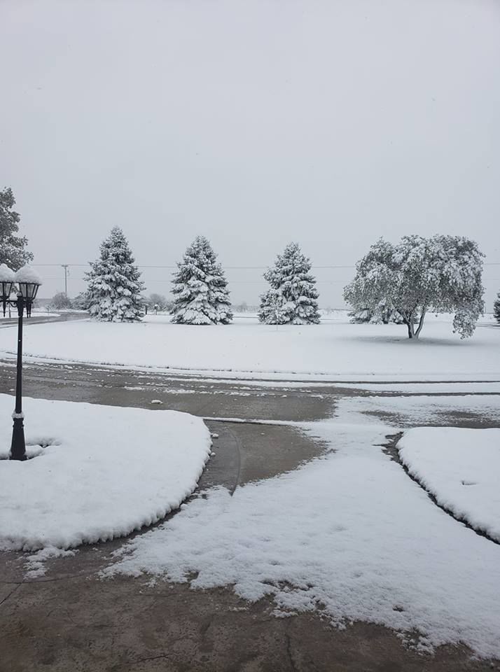 Snow, 10/14